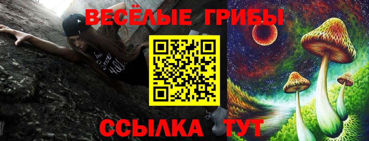 Галлюциногенные грибы Magic Shrooms Губкинский