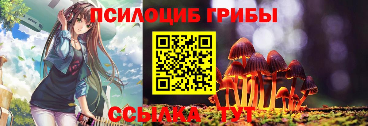 Галлюциногенные грибы Magic Shrooms  Псилоцибиновые грибы GOLDEN TEACHER  Вход с VPN  Губкинский 